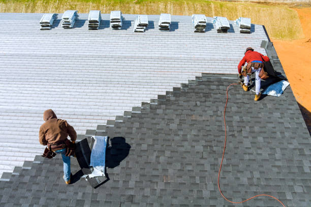 Best Emergency Roof Repair  in Lambertville, MI