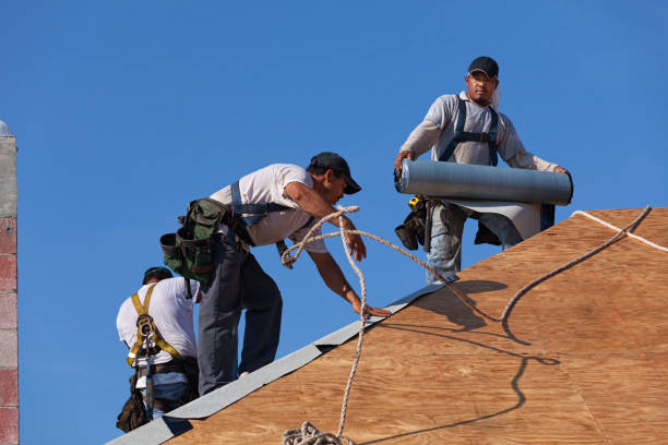Best Affordable Roof Replacement  in Lambertville, MI