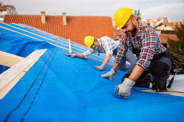 Best Sealant for Roof  in Lambertville, MI
