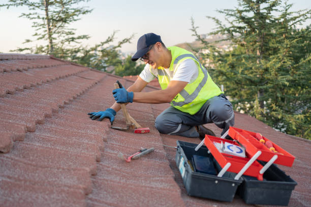 Best New Roof Installation  in Lambertville, MI