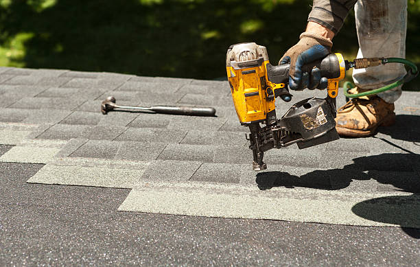 Best Roof Gutter Cleaning  in Lambertville, MI