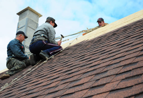 Best Roof Replacement Cost  in Lambertville, MI