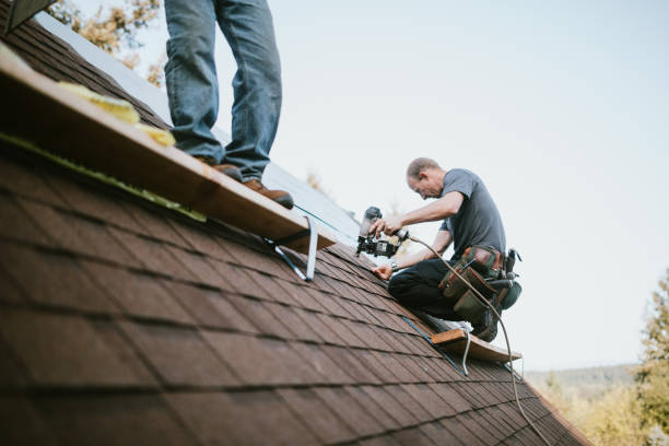 Best Roof Waterproofing Services  in Lambertville, MI