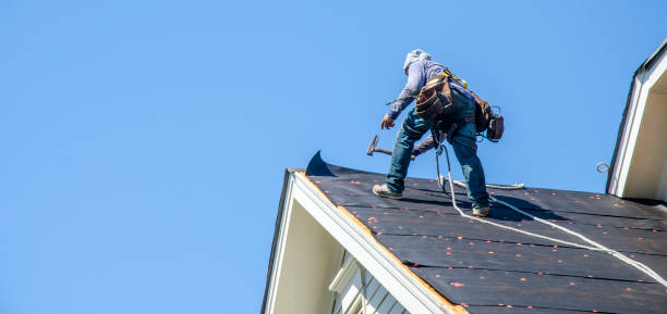 Best Residential Roofing Contractor  in Lambertville, MI