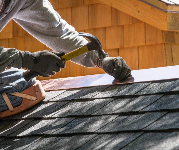 Best Roof Maintenance Services  in Lambertville, MI
